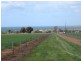 Lot 233, 233 Lincoln Highway, Louth Bay SA 5607