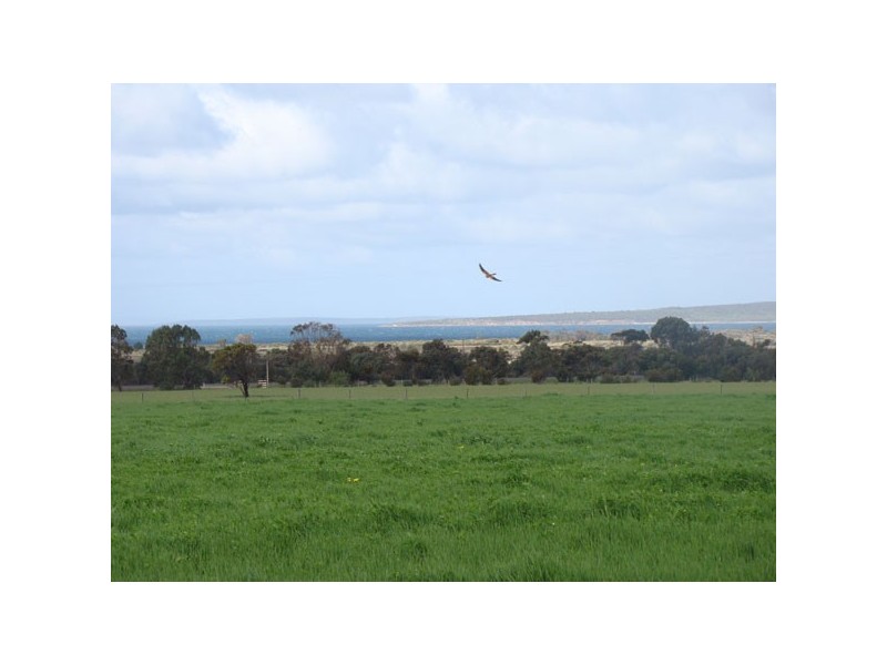 Lot 233, 233 Lincoln Highway, Louth Bay SA 5607