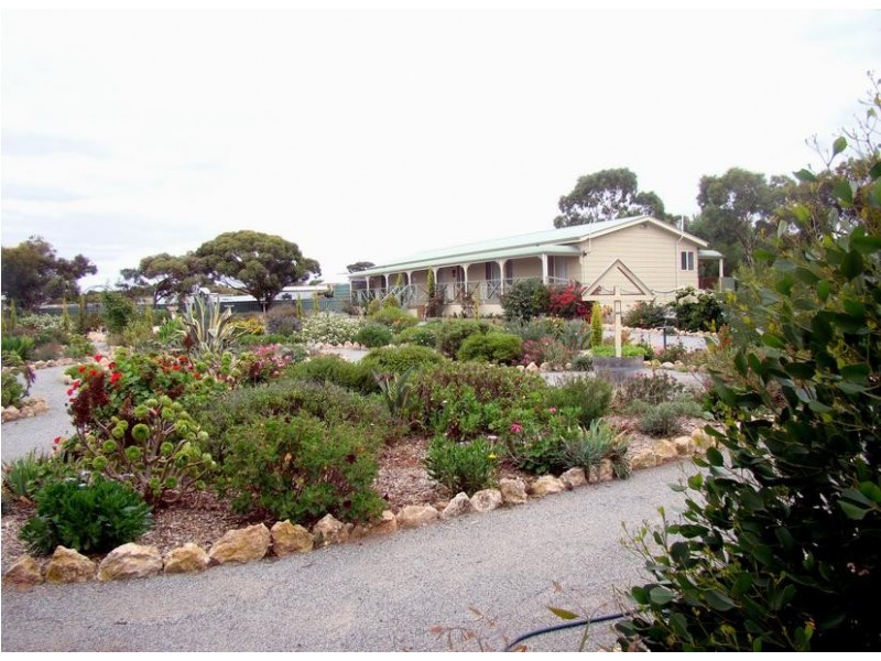 63 South Terrace, Lipson SA 5607