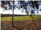 Lot 118, Hidden Valley Lane, Boston SA 5607
