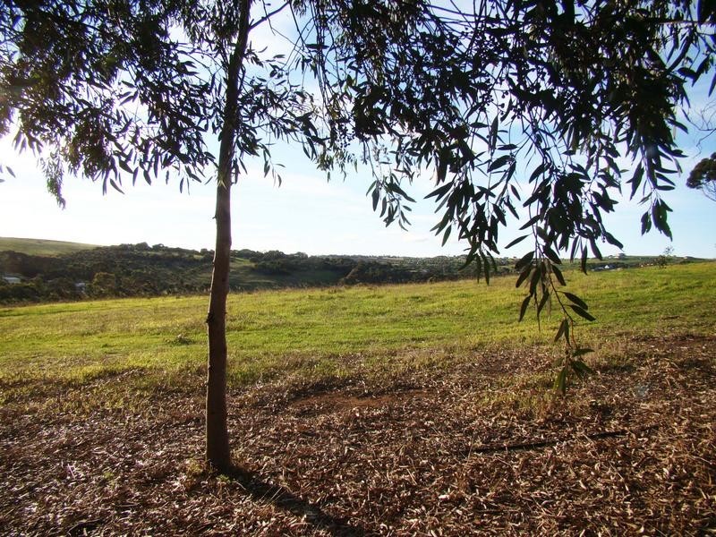 Lot 118, Hidden Valley Lane, Boston SA 5607
