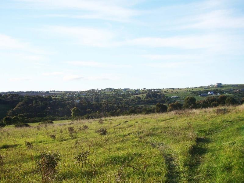 Lot 118, Hidden Valley Lane, Boston SA 5607
