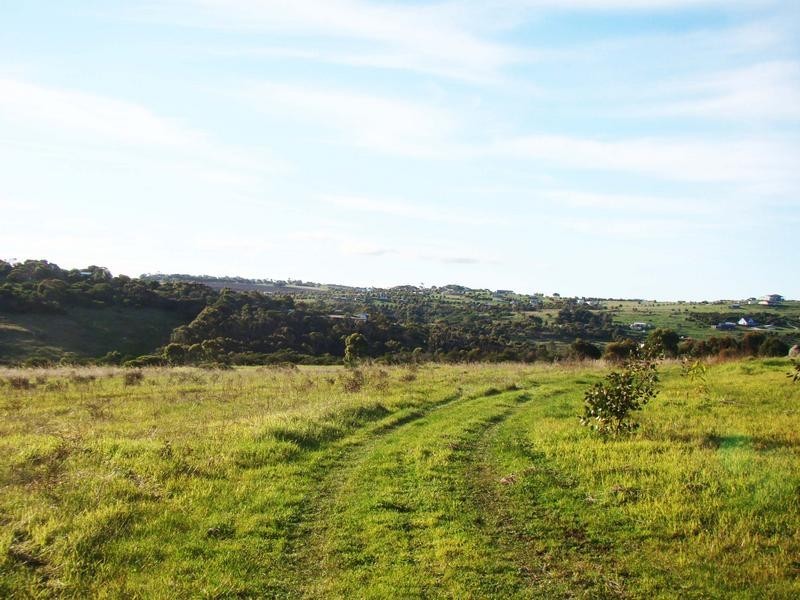 Lot 118, Hidden Valley Lane, Boston SA 5607