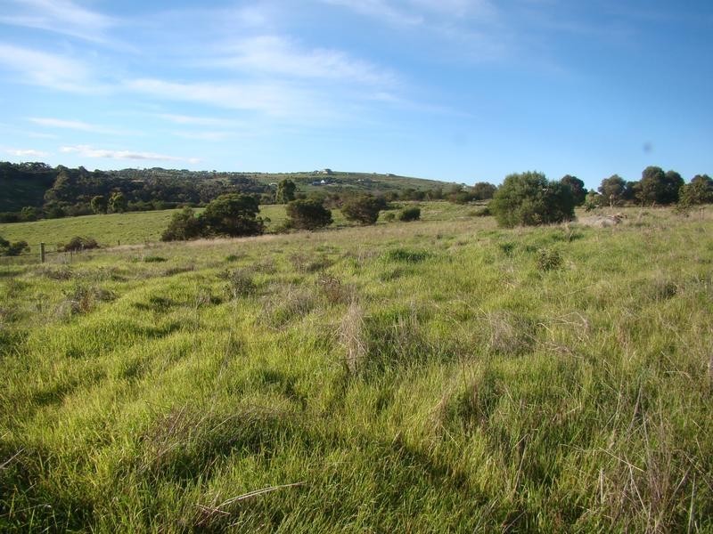 Lot 117,  Hidden Valley Lane, Boston SA 5607