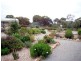 Lot 63, 63 South Terrace LIPSON, Tumby Bay SA 5605