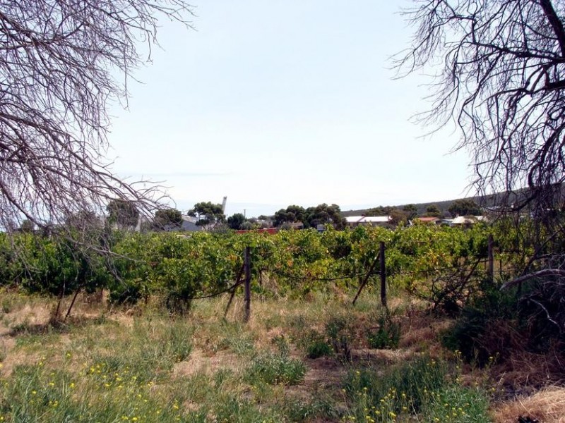 100 Proper Bay Road, Port Lincoln SA 5606