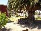 19 CRONIN AVENUE, Port Lincoln SA 5606