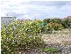 48 Wishart Street, Tumby Bay SA 5605