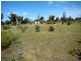 Lot 121 Wangary Street, Wanilla SA 5607