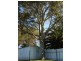 Port Lincoln SA 5606