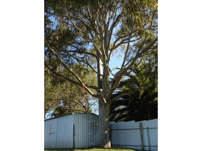 Port Lincoln SA 5606