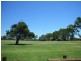 3 Cannon Street, Bayswater WA 6053