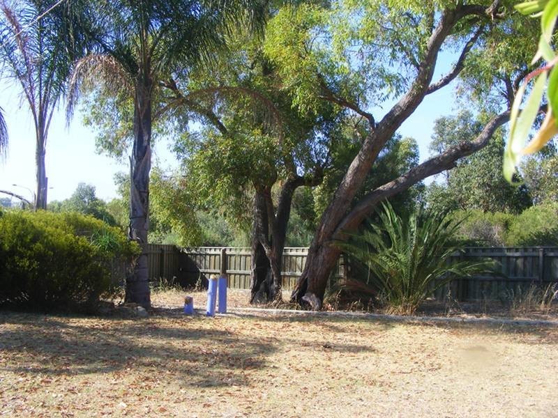 19 Bowstring Place, Joondalup WA 6027