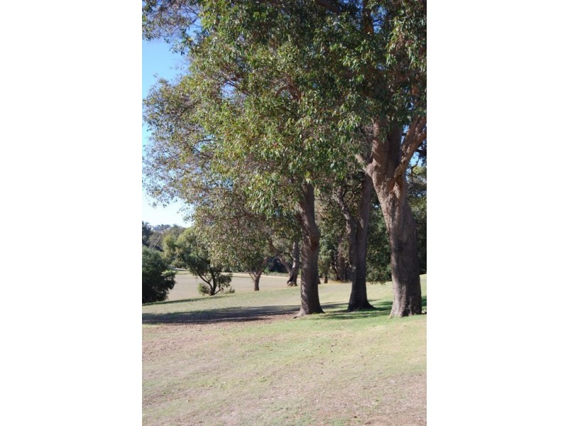 36 Streeton Promenade, Woodvale WA 6026