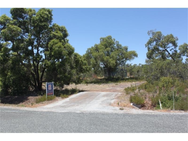 81 Blue Squill Drive, Lower Chittering WA 6084