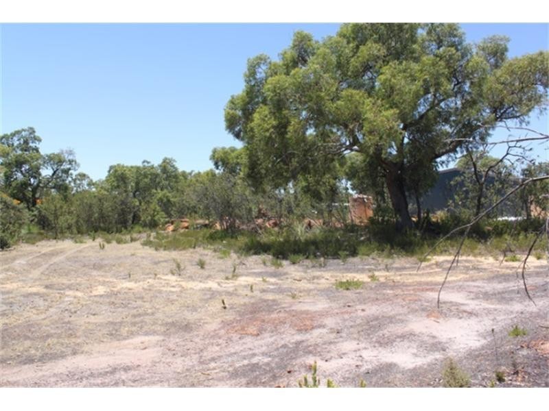 81 Blue Squill Drive, Lower Chittering WA 6084
