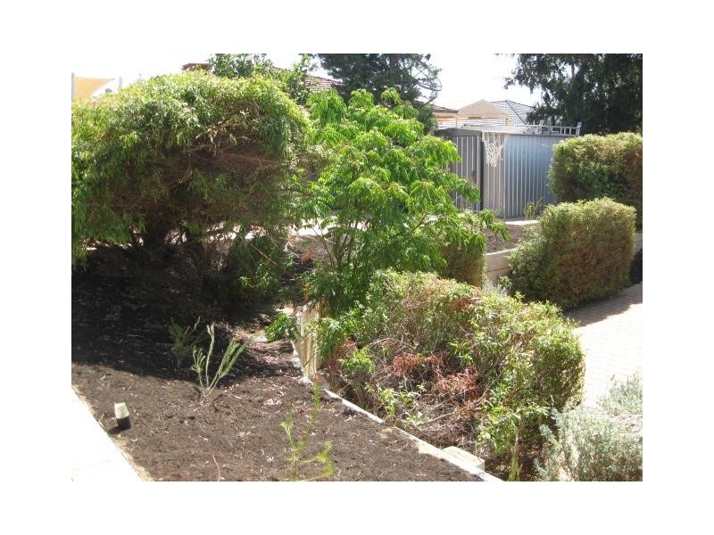 8 Placid Court, Joondalup WA 6027