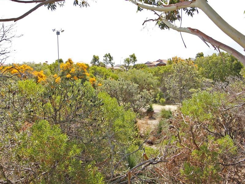 20 Clermont Gardens, Currambine WA 6028