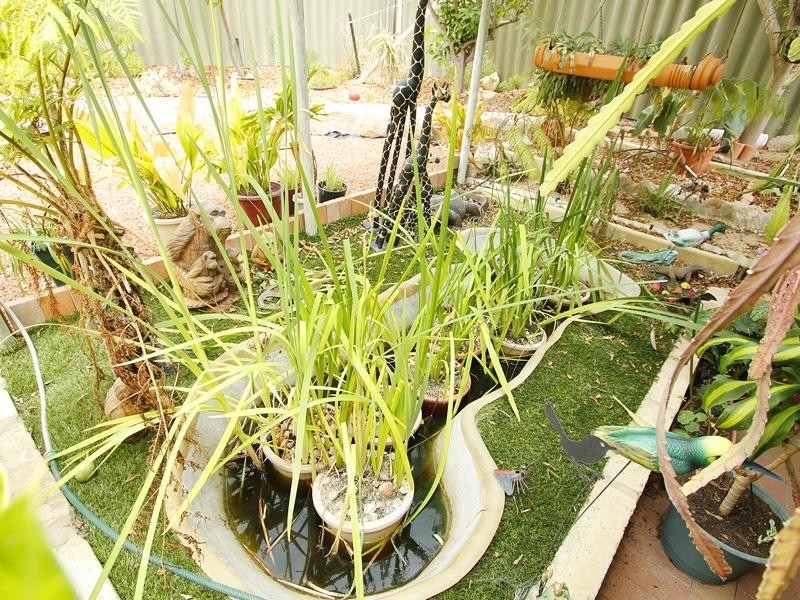 24 Renshaw Blvd, Clarkson WA 6030