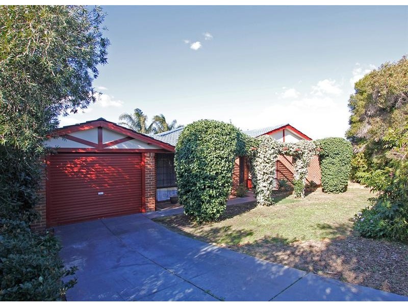 3 Tipuana Place, Edgewater WA 6027