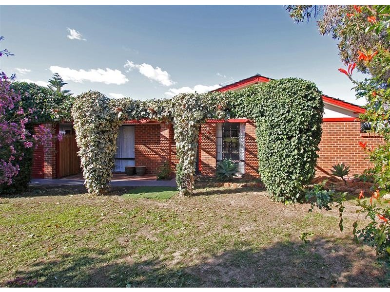 3 Tipuana Place, Edgewater WA 6027