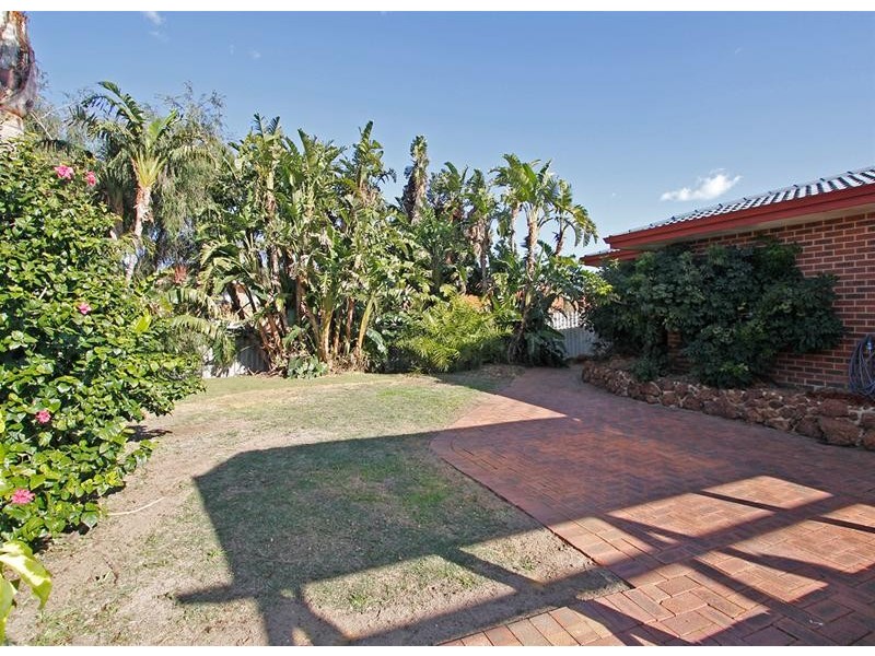 3 Tipuana Place, Edgewater WA 6027