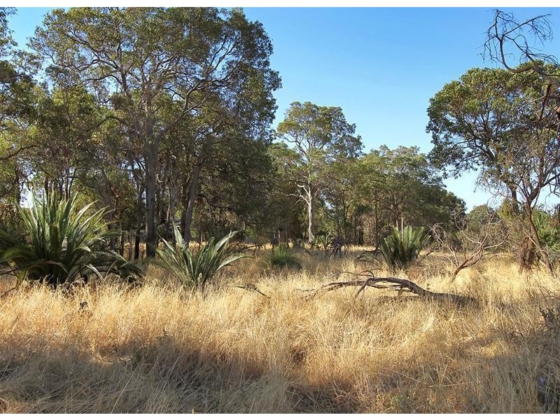 5/5 Birdland Court, Edgewater WA 6027