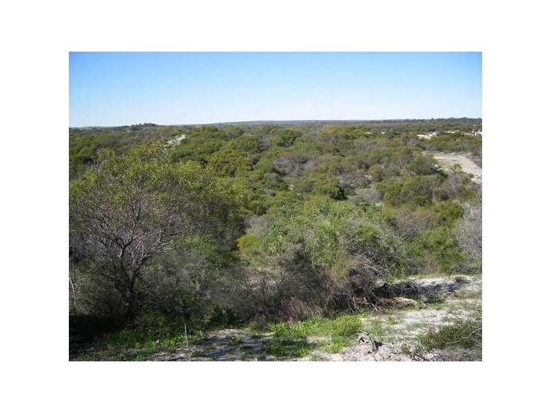 46 Powder Bark Loop, Dongara WA 6525