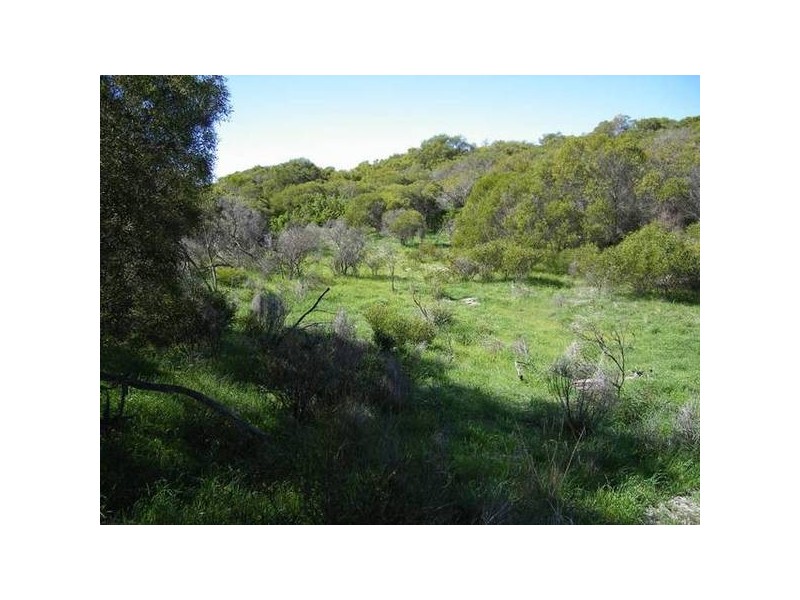 46 Powder Bark Loop, Dongara WA 6525