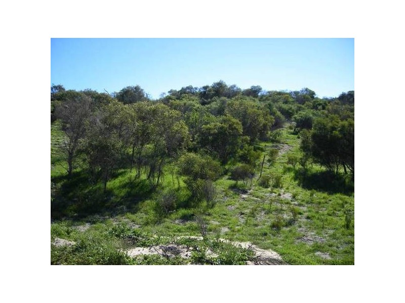 46 Powder Bark Loop, Dongara WA 6525