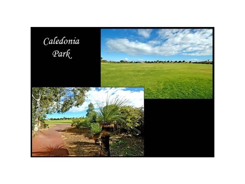 Yale Lane, Currambine WA 6028