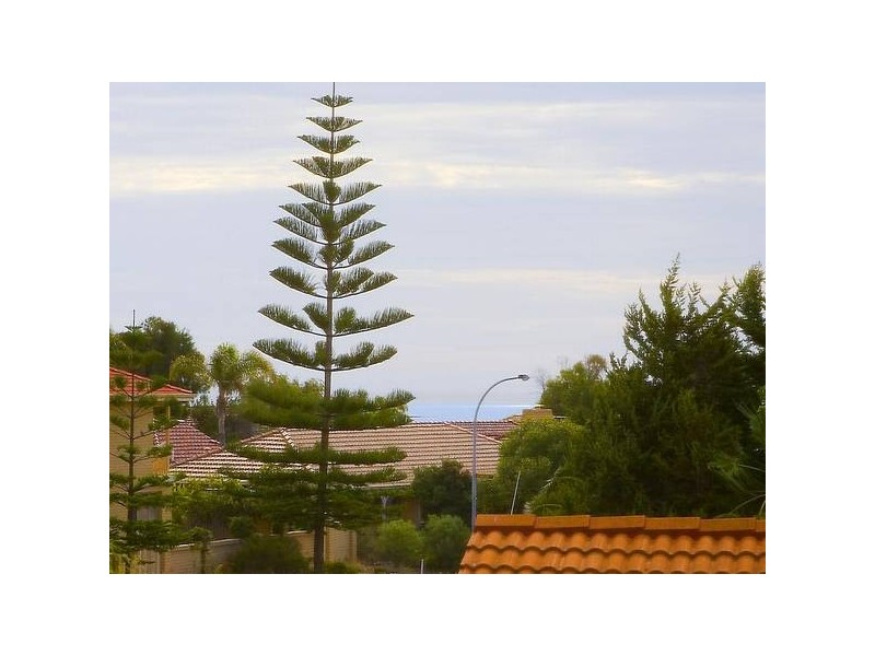 1 Carnarvon Rise, Ocean Reef WA 6027