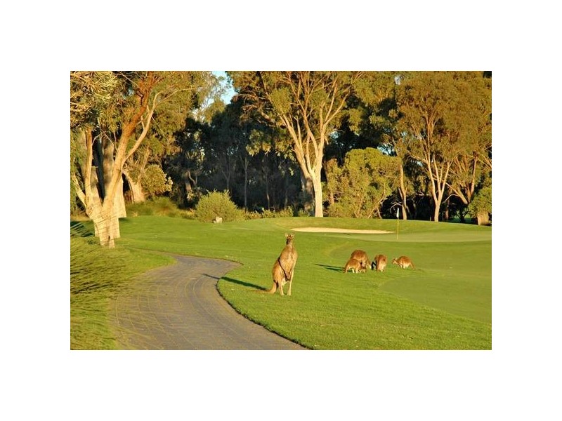 4 Taupo Glade, Joondalup WA 6027