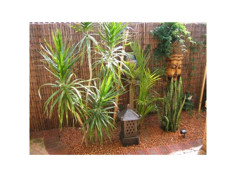 27 Iroquois Gardens, Joondalup WA 6027