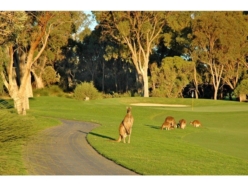 21 Bardeen Pass, Carramar WA 6031