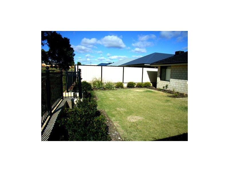 11 Tuxedo Link, Clarkson WA 6030