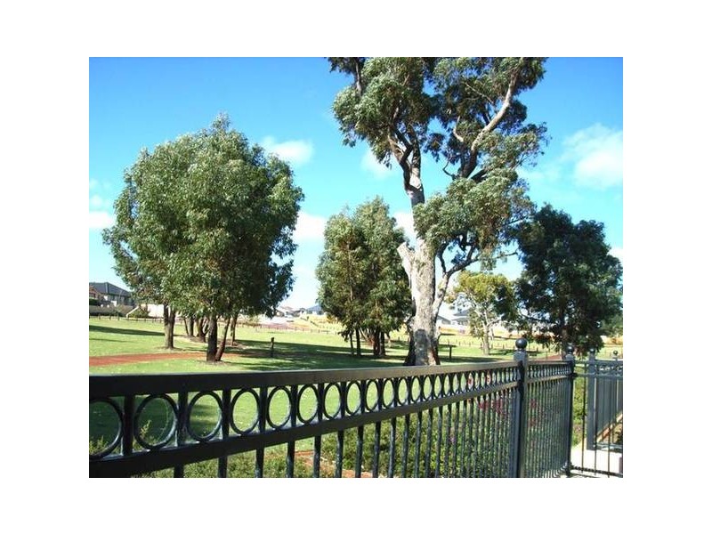 11 Tuxedo Link, Clarkson WA 6030