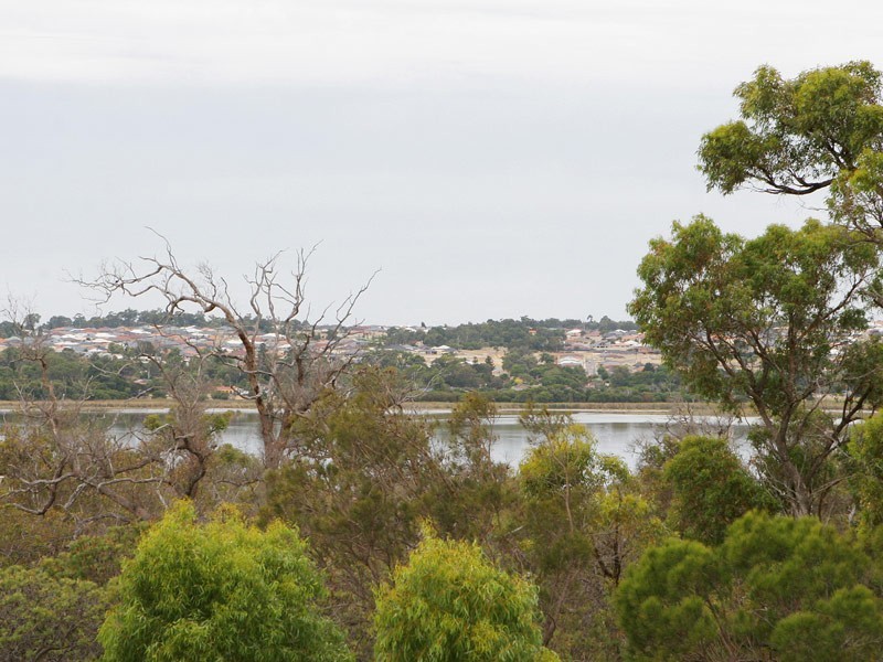 44 Greenshank Avenue, Joondalup WA 6027