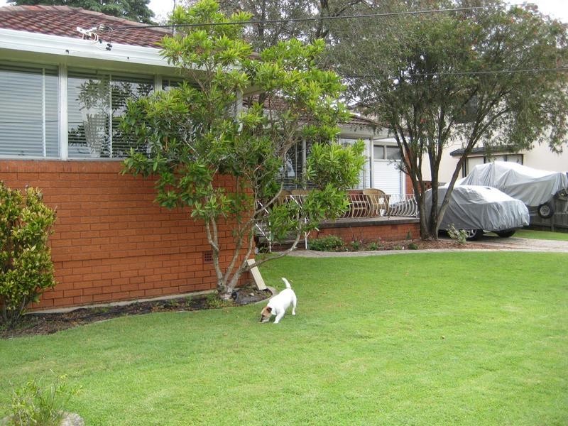 8 Lumsdaine Avenue, East Ryde NSW 2113