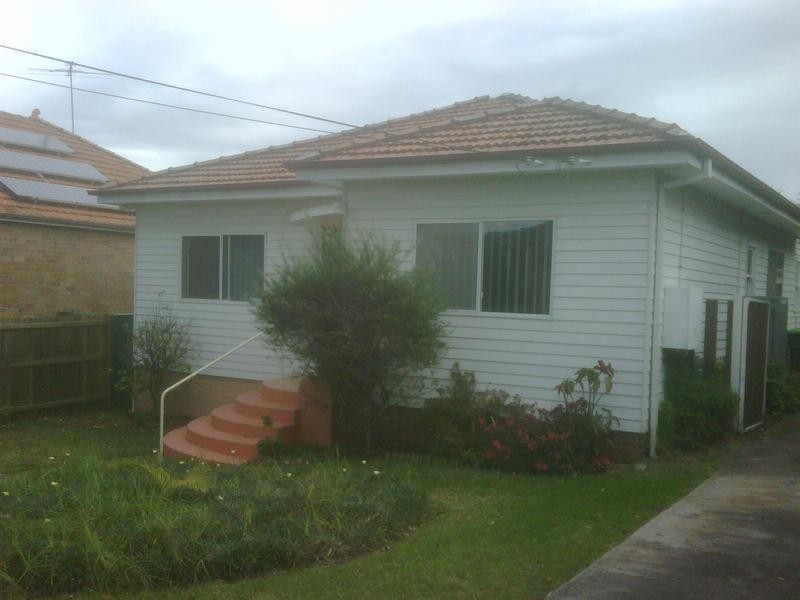 19 Douglas Street, Putney NSW 2112