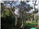 39 Wharf Road, West Ryde NSW 2114