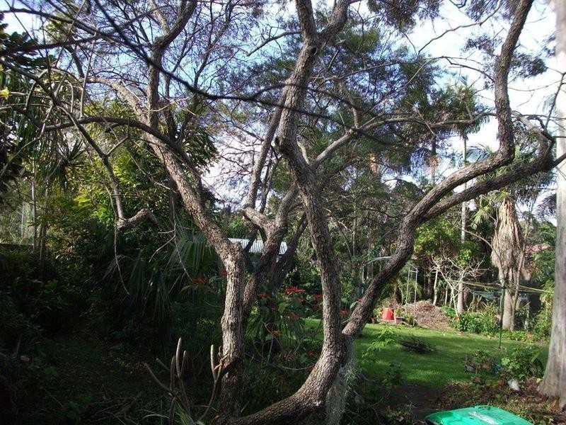 39 Wharf Road, West Ryde NSW 2114
