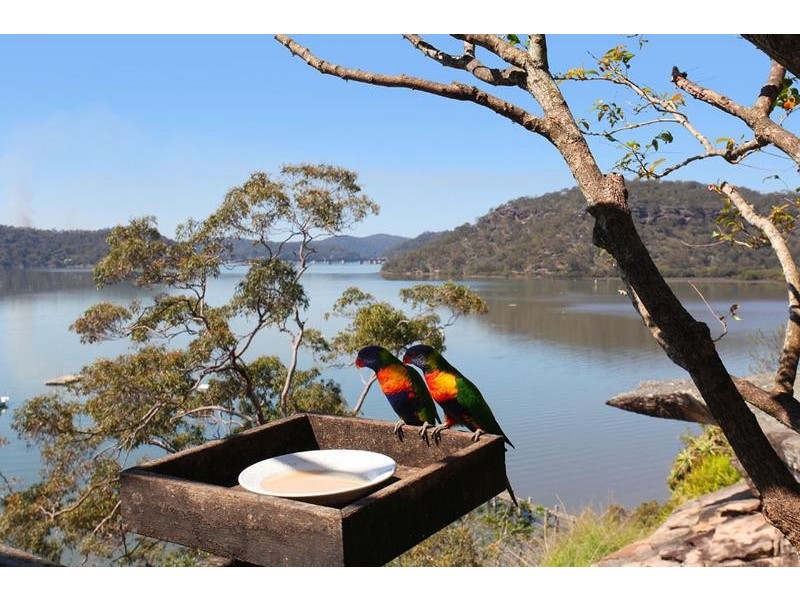 99 Point Road, Mooney Mooney NSW 2083