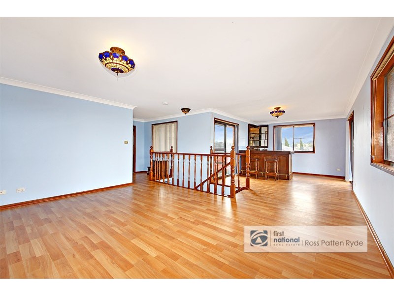 20 Ida Street, Putney NSW 2112