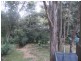 53 Carmen Drive, Carlingford NSW 2118