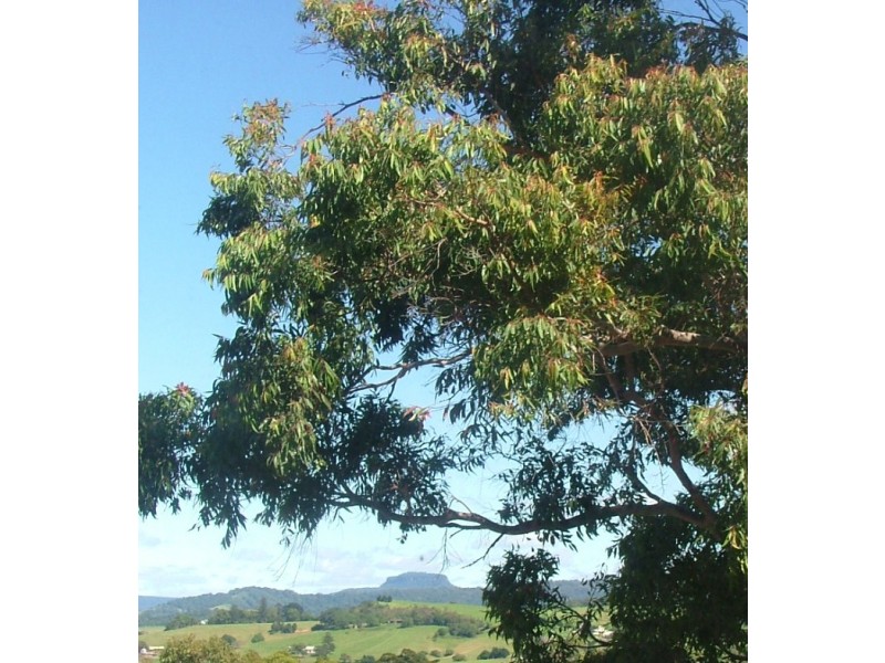 69 Jupiter Street, Gerringong NSW 2534