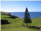114 Headland Drive, Gerroa NSW 2534
