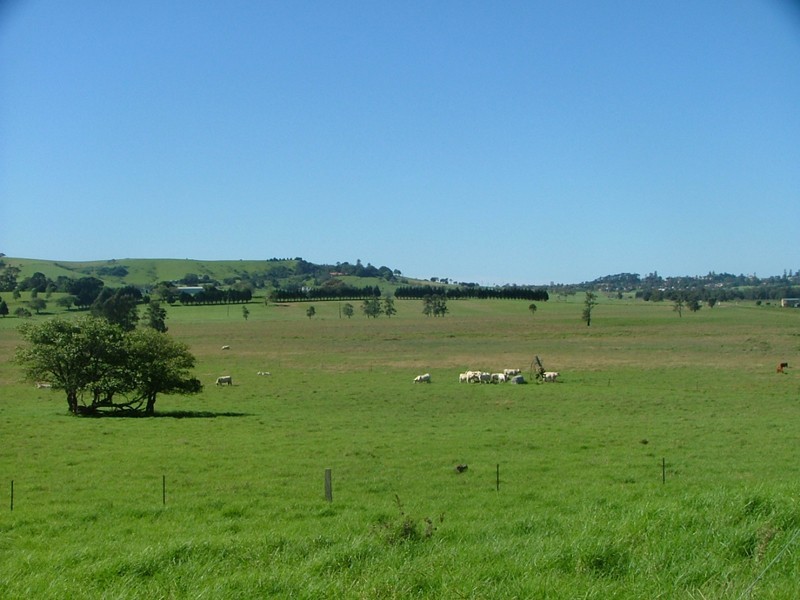 5 Dooley Road, Toolijooa NSW 2534