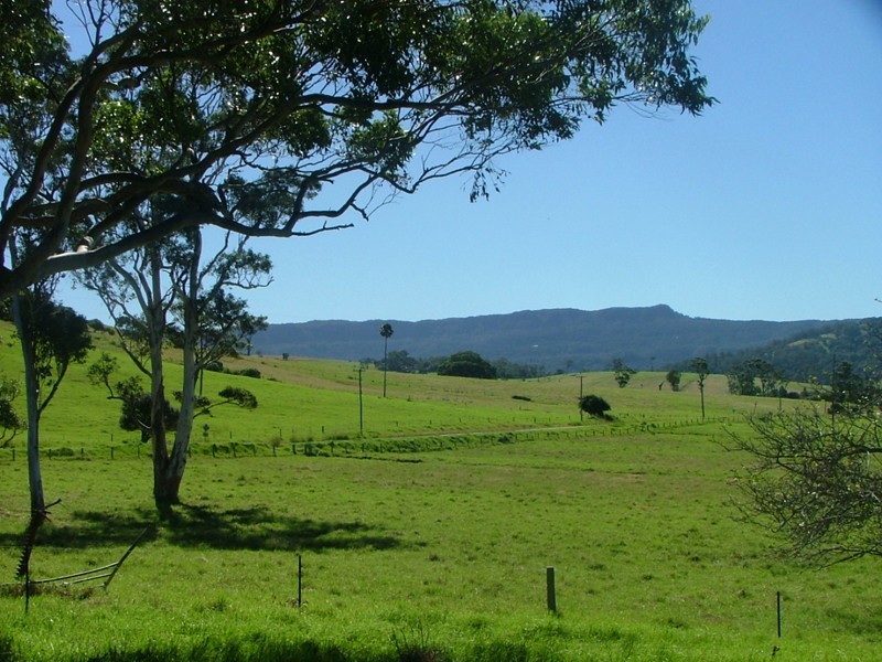 5 Dooley Road, Toolijooa NSW 2534