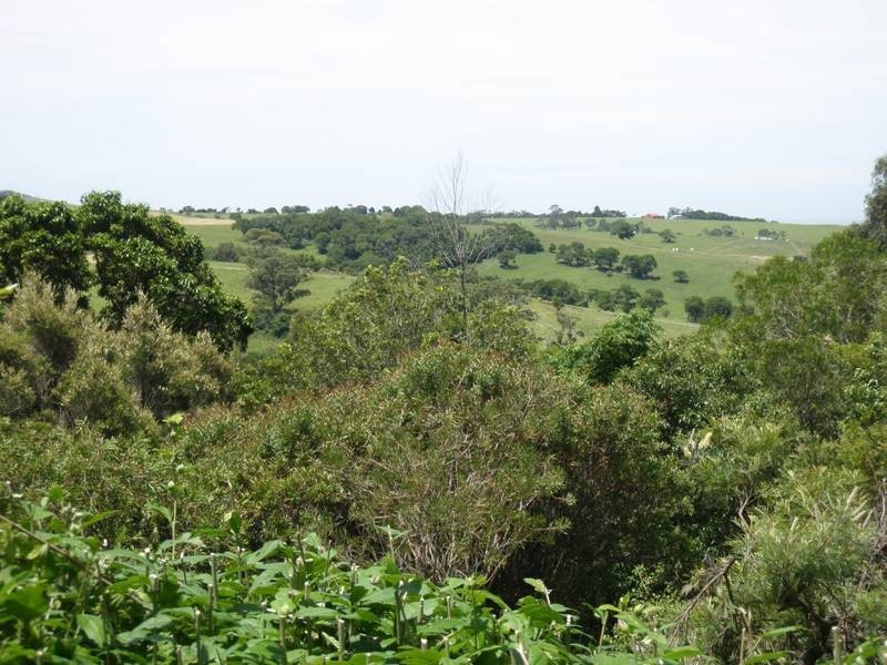 197 Willowvale Road, Gerringong NSW 2534